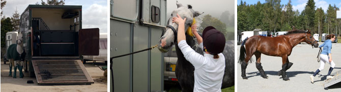 My Rental Horsebox